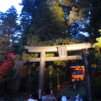 Torii to the World Heritage shrines.